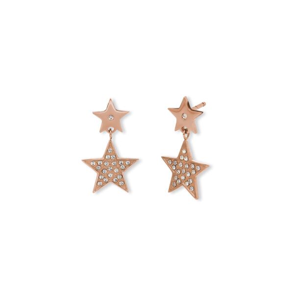2JEWELS Orecchini in acciaio 316L e PVD Rosé