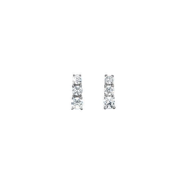 Orecchini in argento 925/°°° - immagine 1